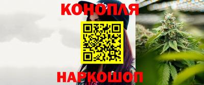 стаф Волгодонск